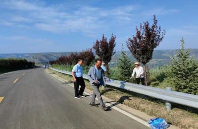 西峰區:六舉措 穩就業 促增收