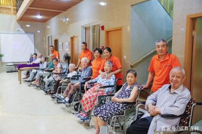 什么是成都社區居家養老的“110”服務模式?