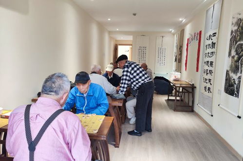 普陀人家門口的 家 ,又為老人加了哪些便利 一起來體驗